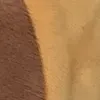 lasaovay10