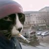 canncu