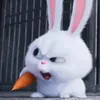 _tkazh.tiyfn_