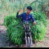 ahmad_rajin_ngaret
