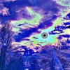 apolide_