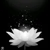 ng.suong_1991