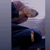 azizahmikaylaazza