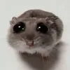 nhamnnham