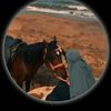 dodamohamed374