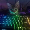 its.yasmax