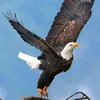 nusrat_tullo_97