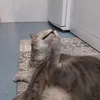 elektra_abundancia