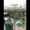 la.co.lop.nha.fb