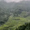 MaiMèo0
