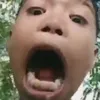 prindavansad