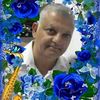 avi.mozes