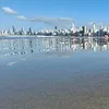 scottbrazil2024