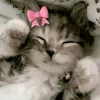 its_me_ur_bbgurl1