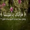 marwa.alrawi54