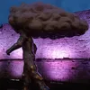 karnagejimmy