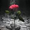 y_e_u_1_8_9