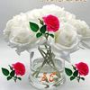 soniamudassar92122gmail1