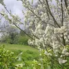 beautifulmomentslife11