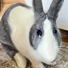 rabbitjulia