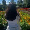 dianvvs_