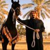 muhammed8996