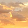 goldenssunset