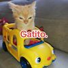 frutas_andy