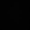 topboisully1