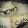 recosbyyel_