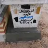 dy89rgbdzwzm