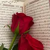 hussein3_313
