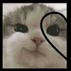 dony.skdm