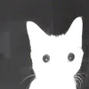 abdulwahidacmad95