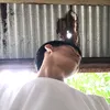 iwwcyhmd3