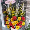 myhien360