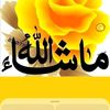 alyanbhatti0o0