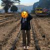 kelvin.max7