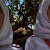 zahraaneama