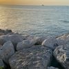 fatema_alenzi