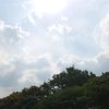 dsgr_omoo
