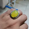 .jamugendongenak