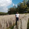 user4311050132797