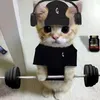 csik.git