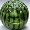 zhuck.pauk.com