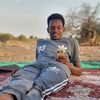 dg_mdou