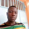 ndegemangenitheironbird