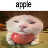 cl0udex_