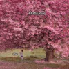 azra02012004