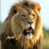 al_ta51